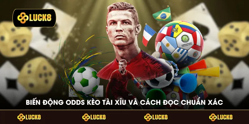 Biến động odds kèo tài xỉu và cách đọc chuẩn xác