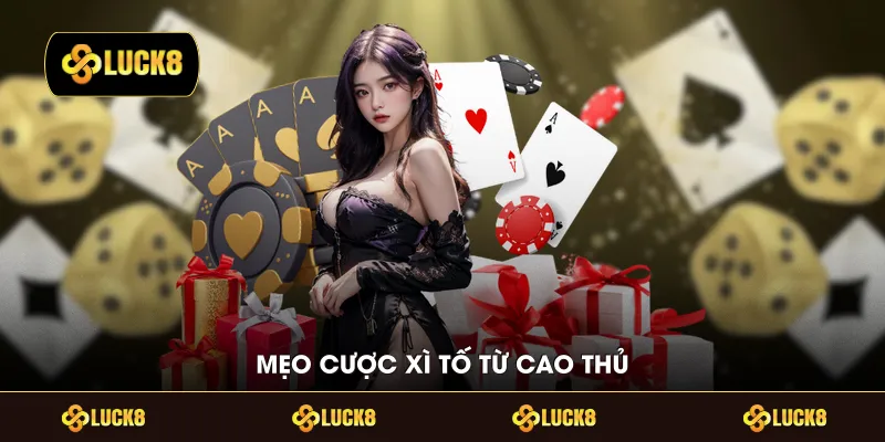 Mẹo cược xì tố từ cao thủ